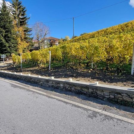 Appartamento Ca ed Giuanoto Santo Stefano Belbo Esterno foto